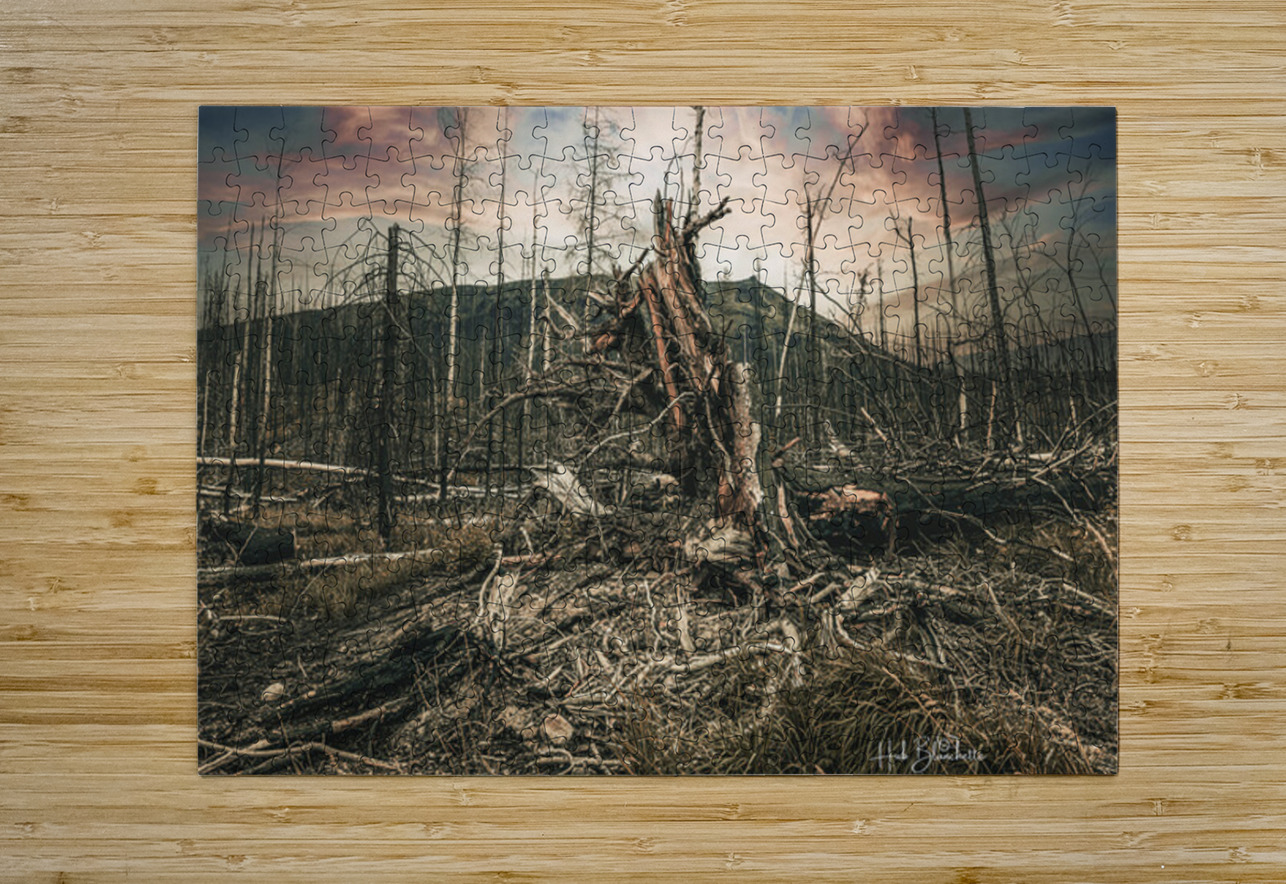 Wild Fires Whistler Campground In Jasper Alberta Canada Hub Blanchette Puzzle printing