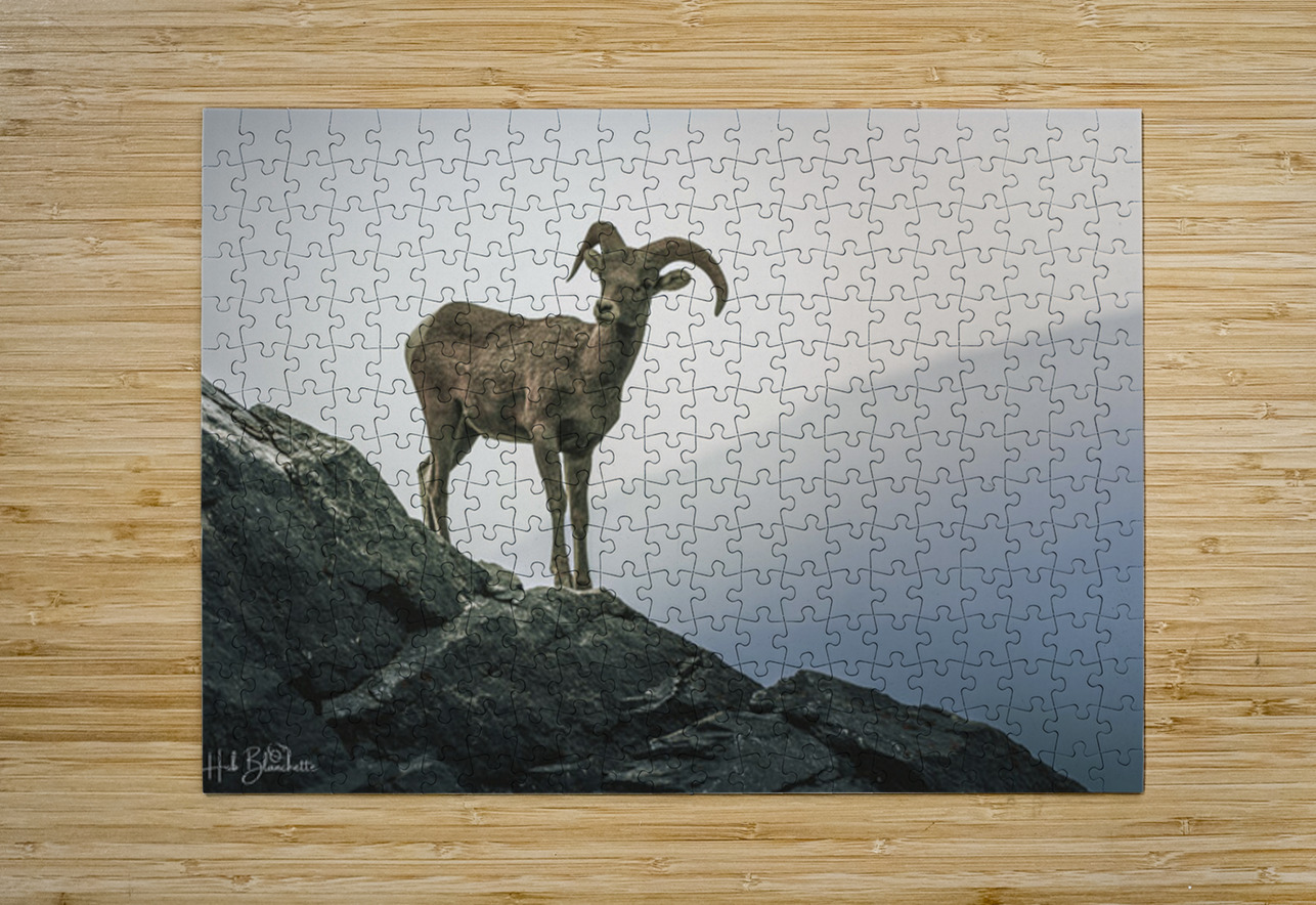 Mountain Goat Jasper Alberta Canada Hub Blanchette Puzzle printing
