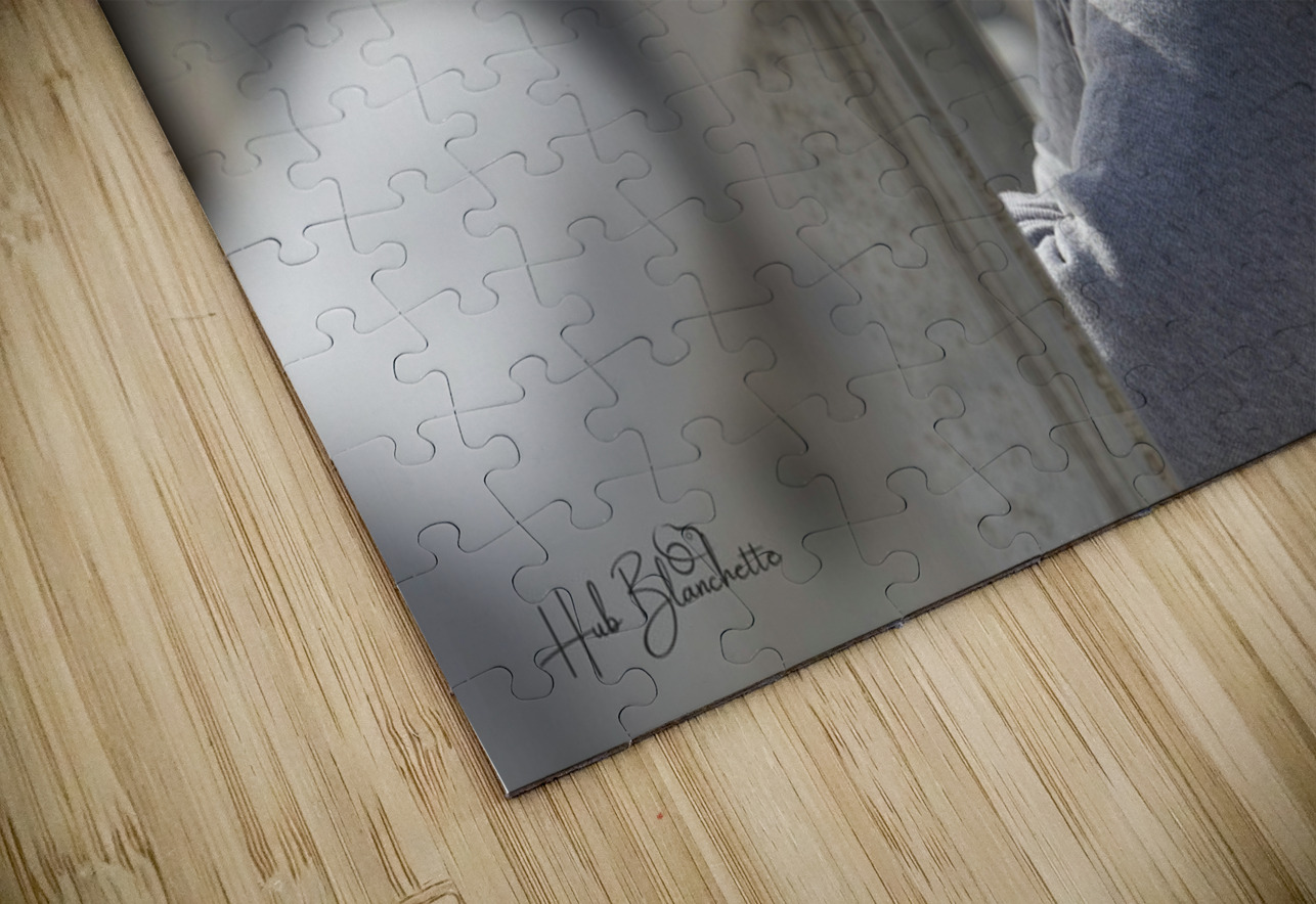 Beautiful Summer Day Winnipeg Manitoba Hub Blanchette Puzzle