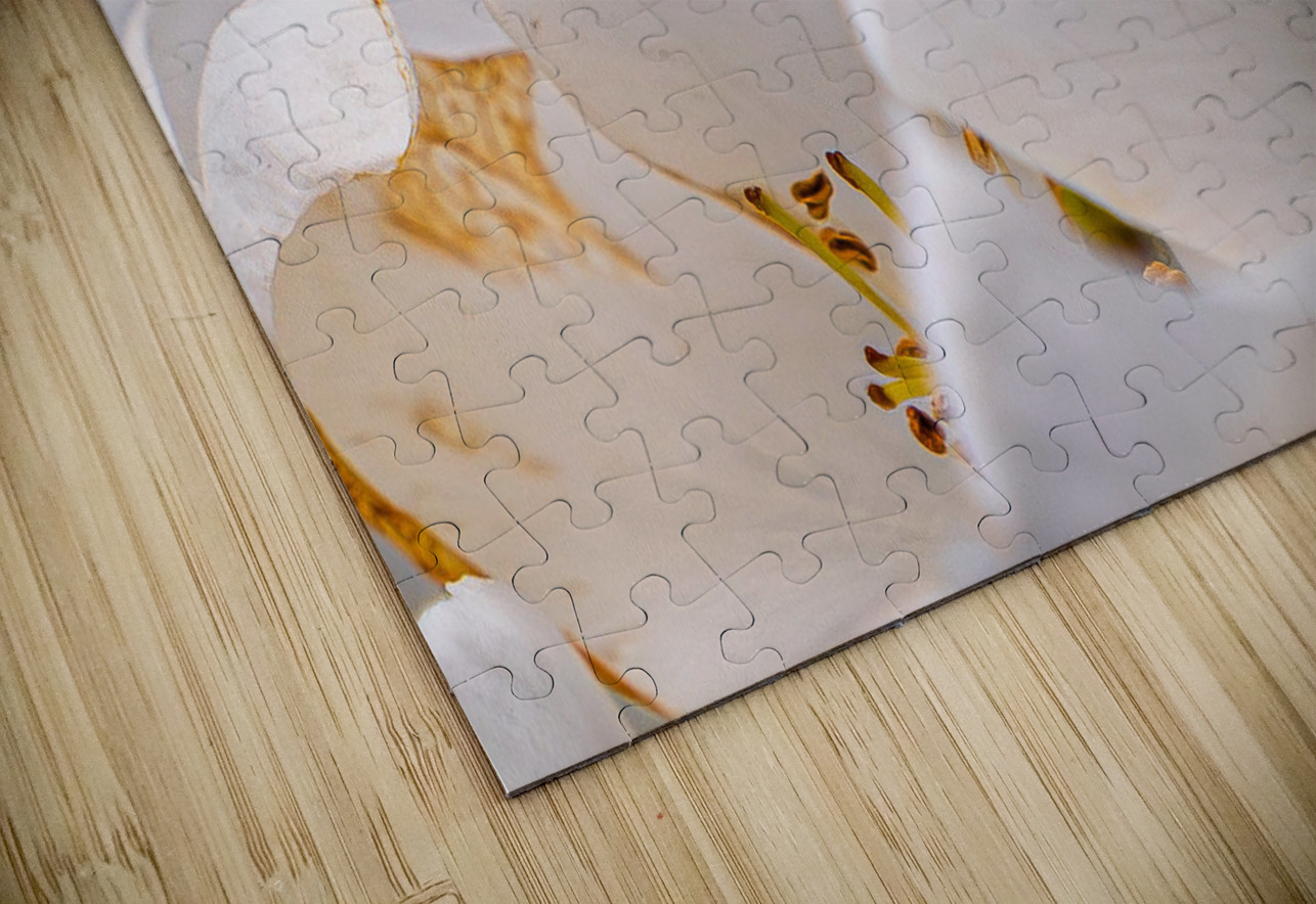 Back Yard Lady Bug Hub Blanchette Puzzle