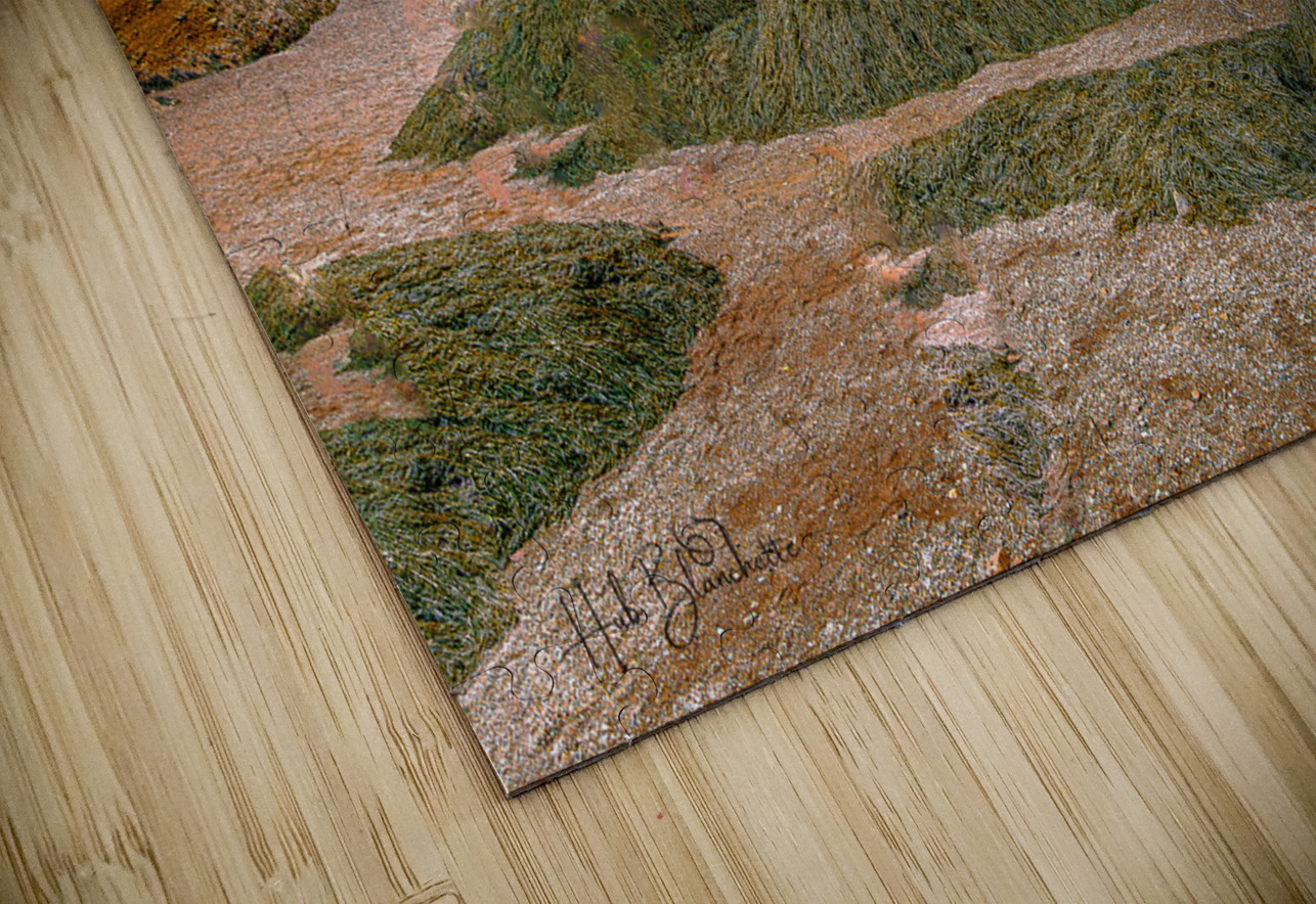 Low Tide Hopewell New Brunswick Canada Hub Blanchette Puzzle