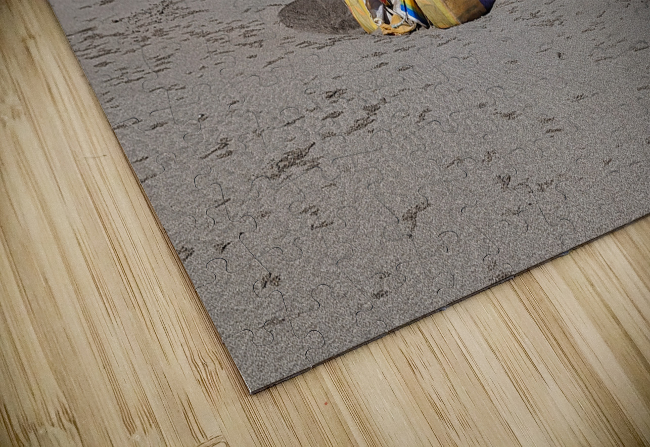 Boca De Tomates Puerto Vallarta Mexico Hub Blanchette Puzzle