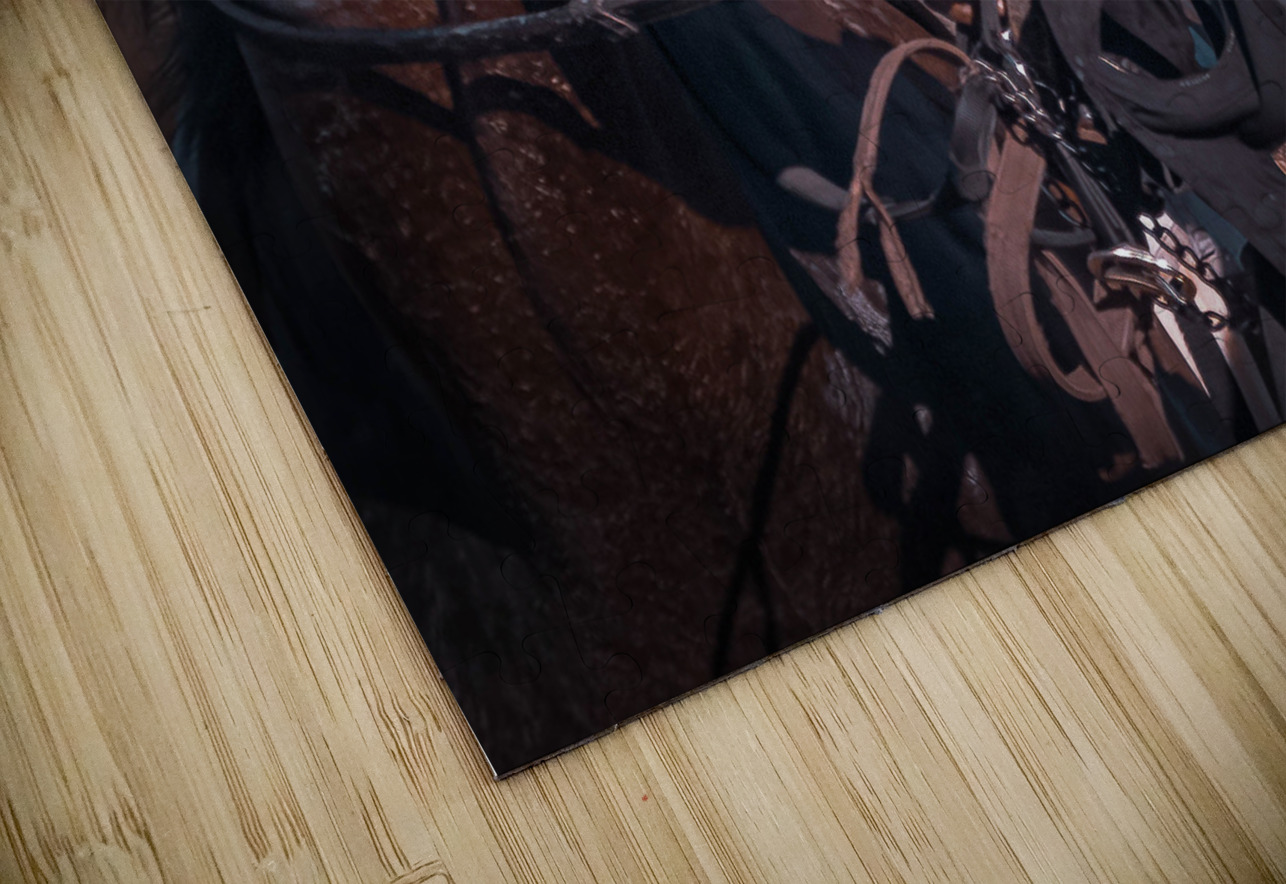 Happy Co-Workers Assiniboia Downs Winnipeg Manitoba Canada Hub Blanchette Puzzle