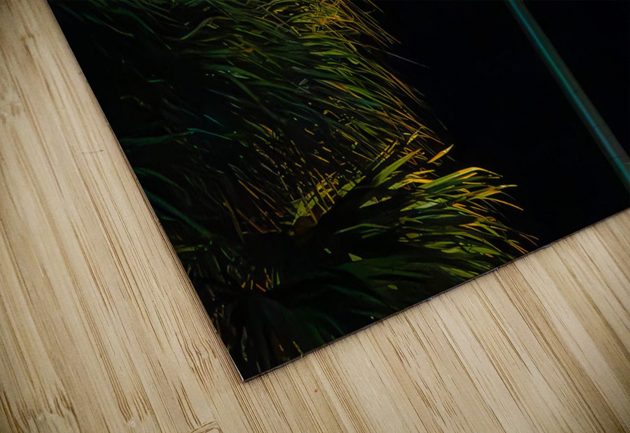 US Flag Fort Lauderdale Florida Hub Blanchette Puzzle