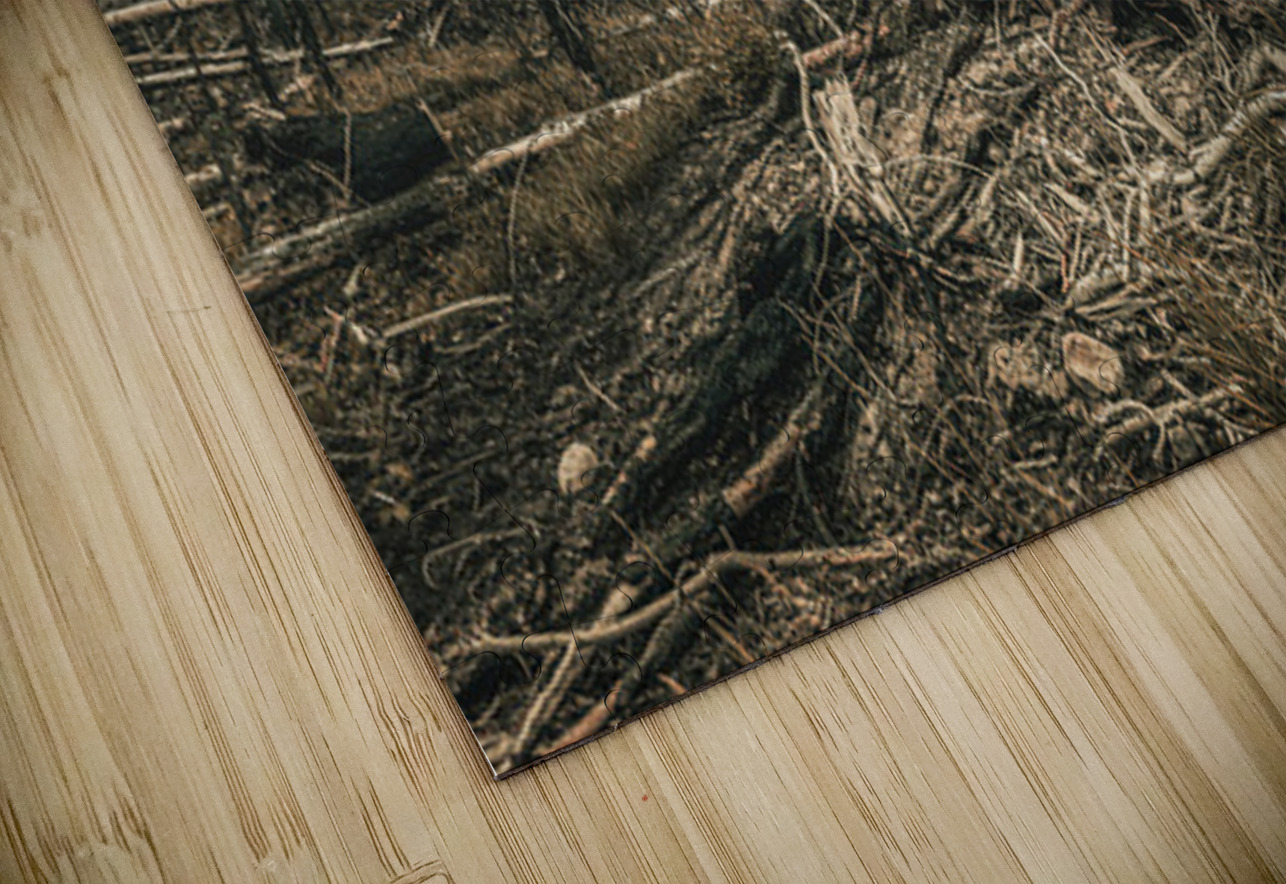 Wild Fires Whistler Campground In Jasper Alberta Canada Hub Blanchette Puzzle