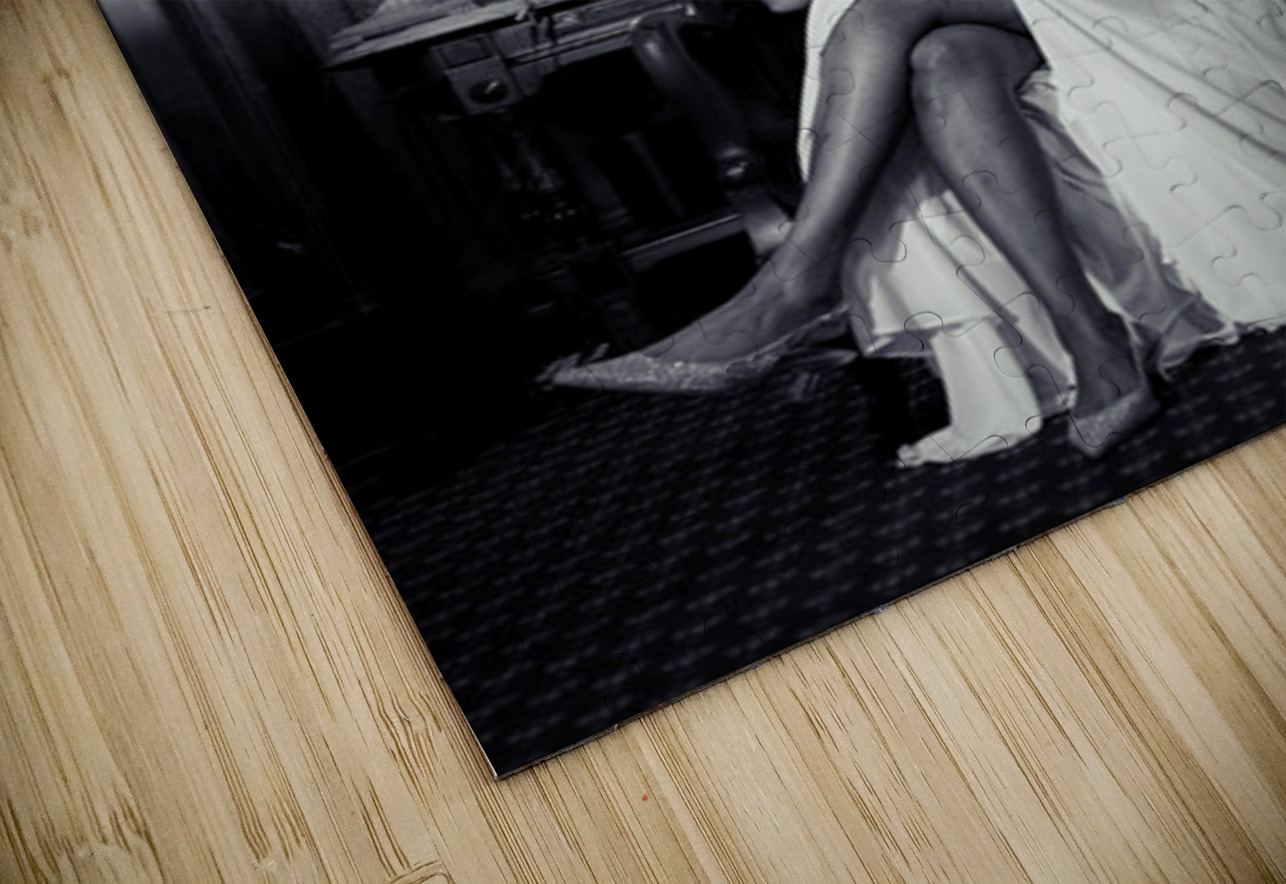 Kevin And Binny 157 Hub Blanchette Puzzle