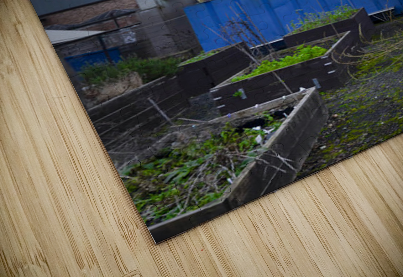 Daffodil Girl Mural Glasgow UK  Hub Blanchette Puzzle