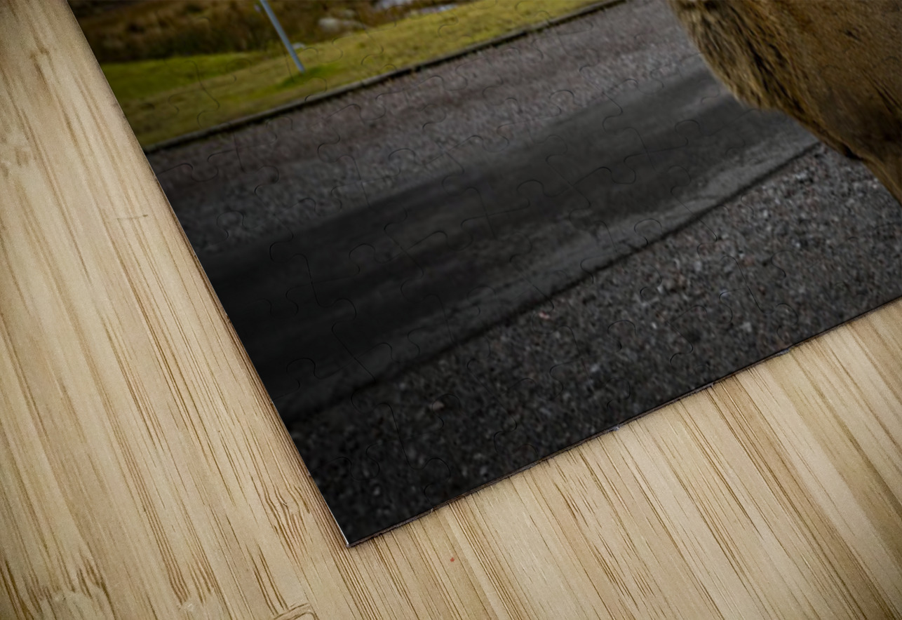 Buachaille Etive Mor Mountain Scotland UK Hub Blanchette Puzzle