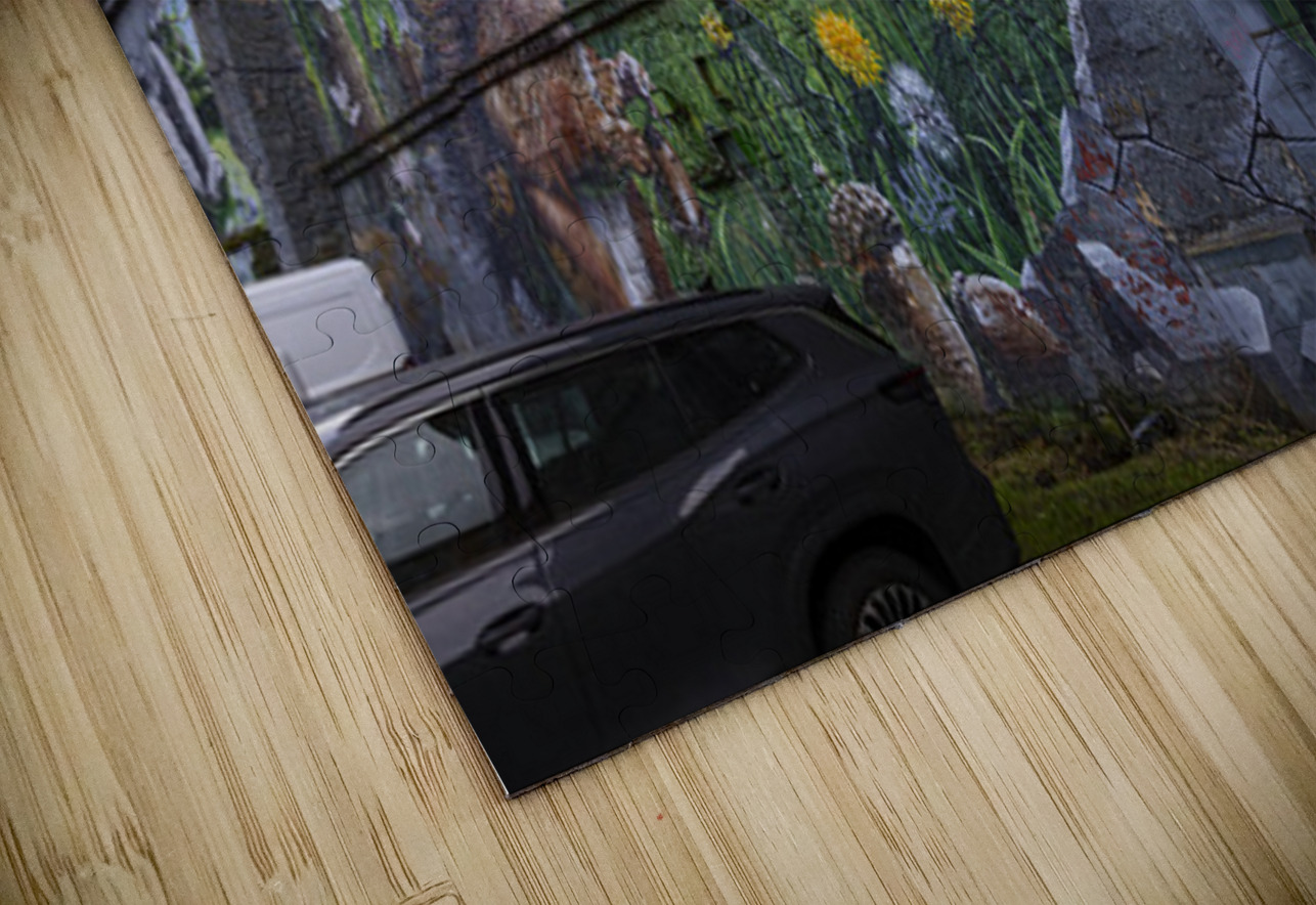 Fellow Glasgow Residents Mural Glasgow Scotland UK Hub Blanchette Puzzle