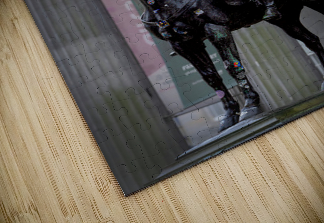 Equestrian Statue of the Duke of Wellington Glasgow UK Hub Blanchette Puzzle