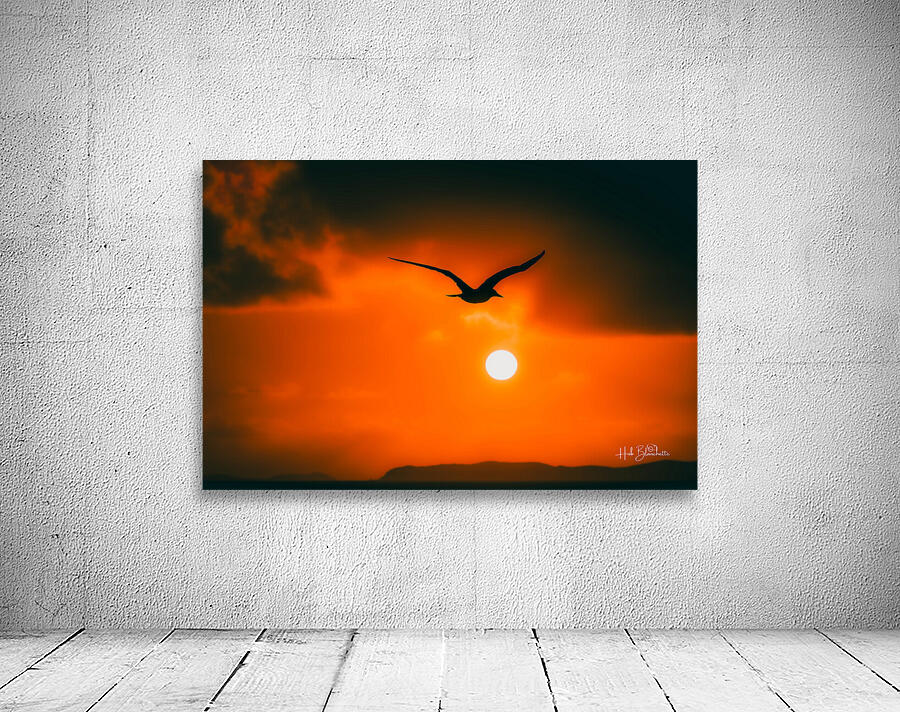 Sunrise While Approaching The United States Virgin Islands Wall Preview