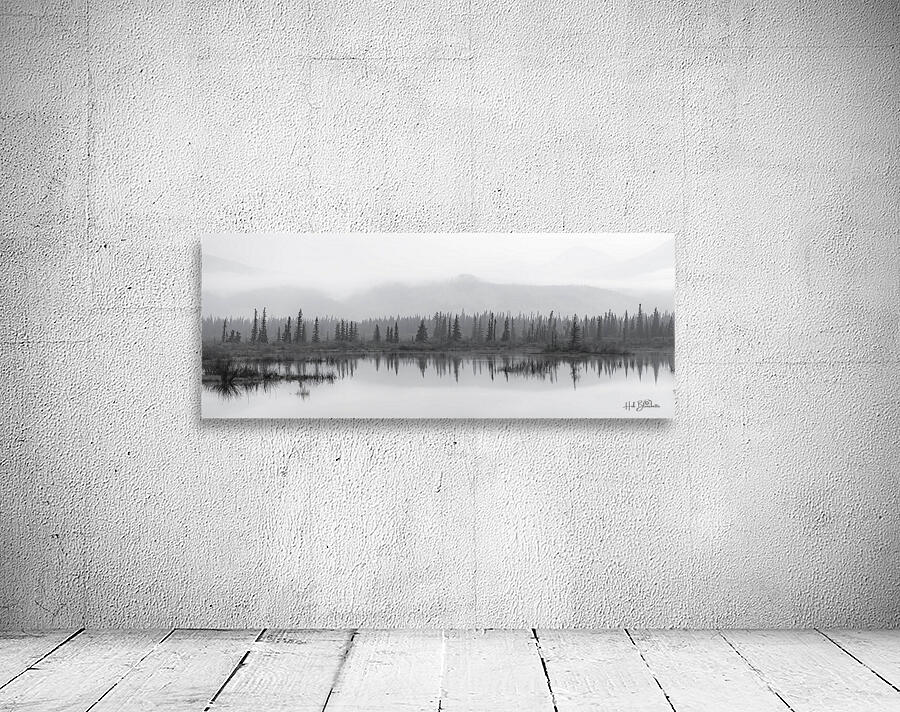 Haunted Forest In Jasper Alberta Canada Wall Preview