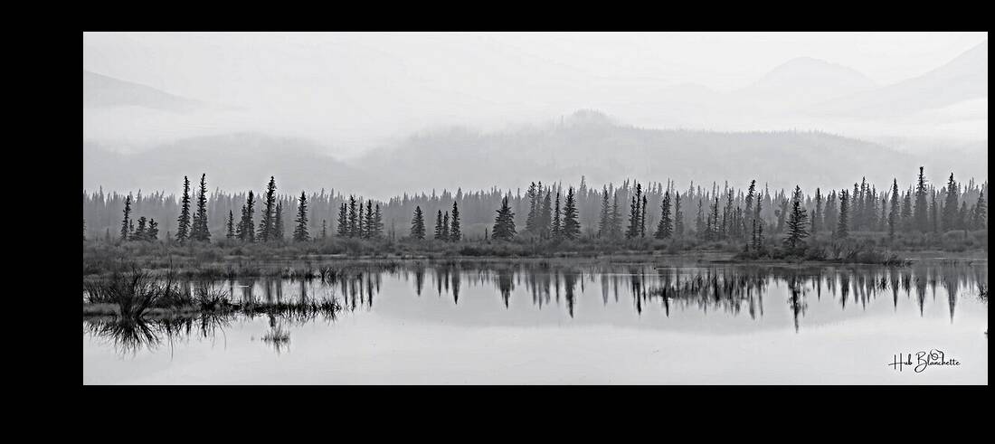 Haunted Forest In Jasper Alberta Canada Reproduction