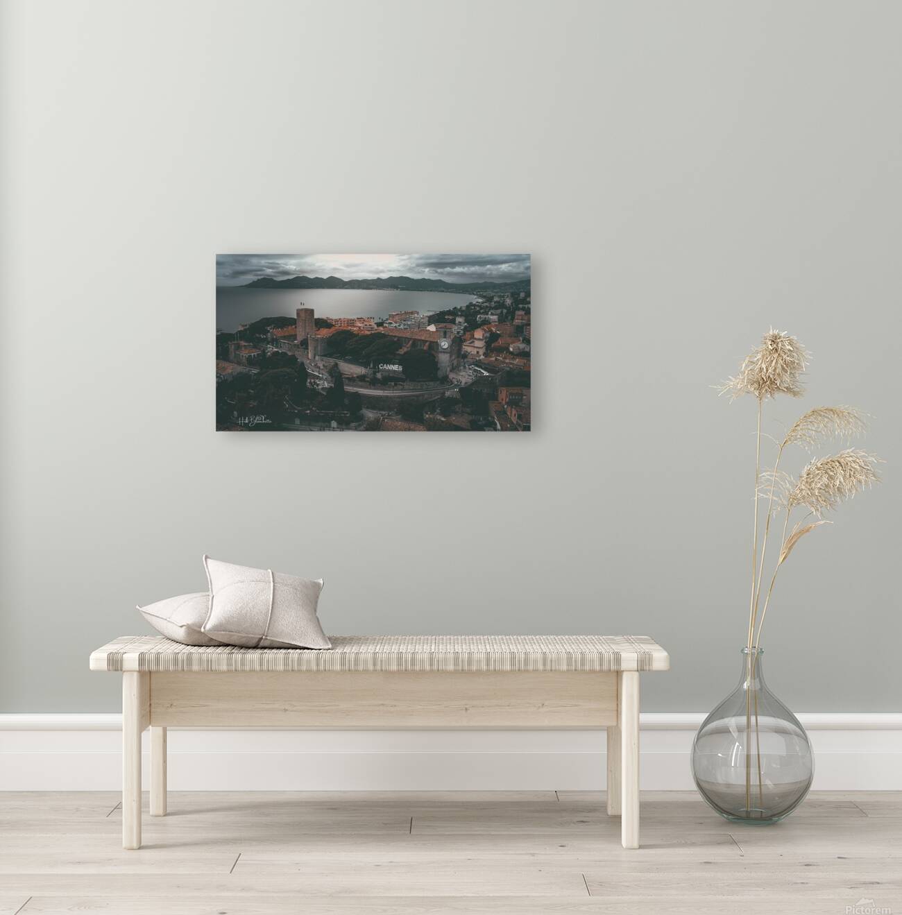 Cannes France Reproduction